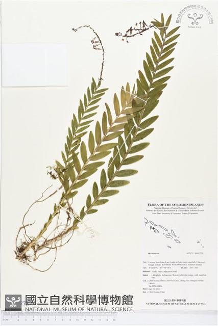 登錄號:BS02775藏品圖，第1張