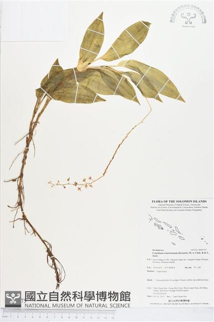 登錄號:BS03775藏品圖，第1張