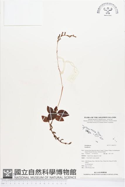 登錄號:BS02575藏品圖，第1張