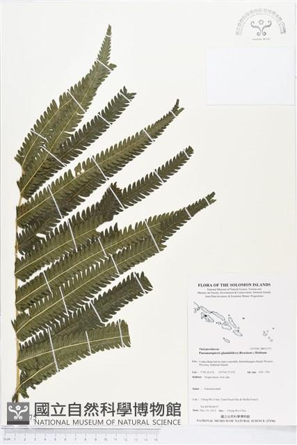 登錄號:BP01575藏品圖，第1張