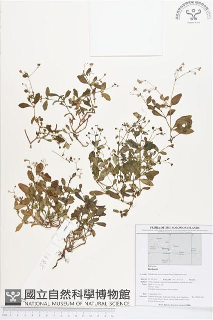 登錄號:BS01575藏品圖，第1張