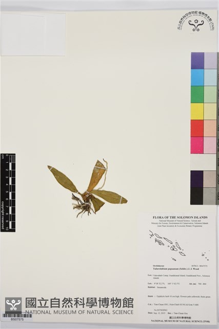 登錄號:BS07575藏品圖，第1張