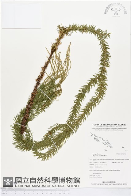 登錄號:BP00975藏品圖，第1張