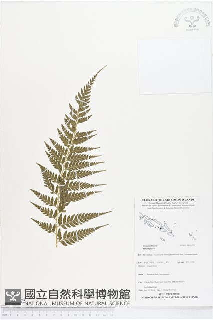 登錄號:BP01975藏品圖，第1張