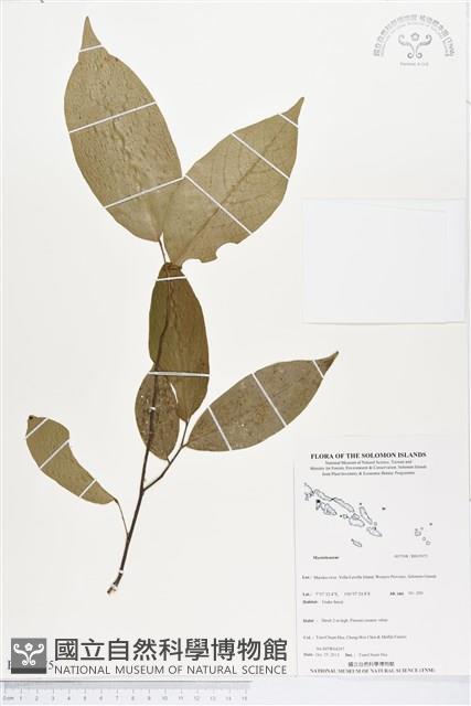 登錄號:BS03975藏品圖，第1張