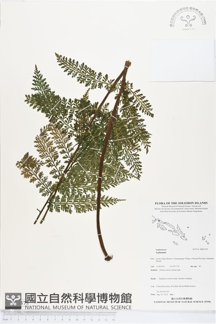 登錄號:BP02375藏品圖，第1張