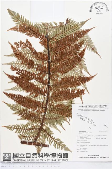 登錄號:BP00375藏品圖，第1張