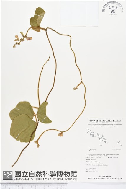 登錄號:BS01375藏品圖，第1張