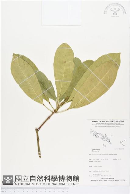 登錄號:BS04375藏品圖，第1張