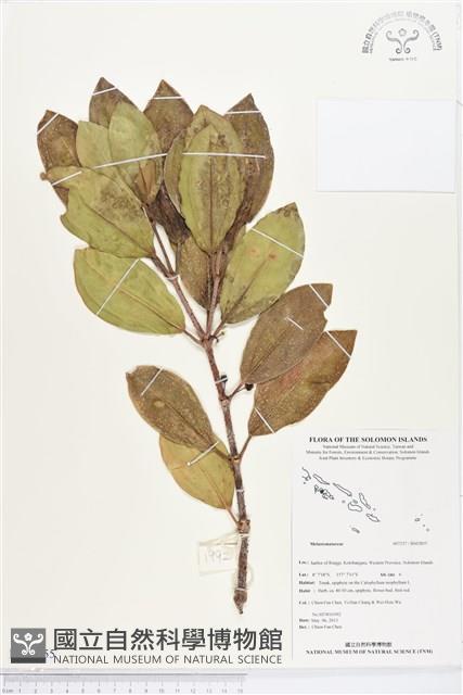 登錄號:BS02855藏品圖，第1張