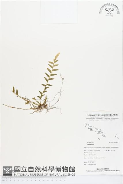 登錄號:BS01855藏品圖，第1張