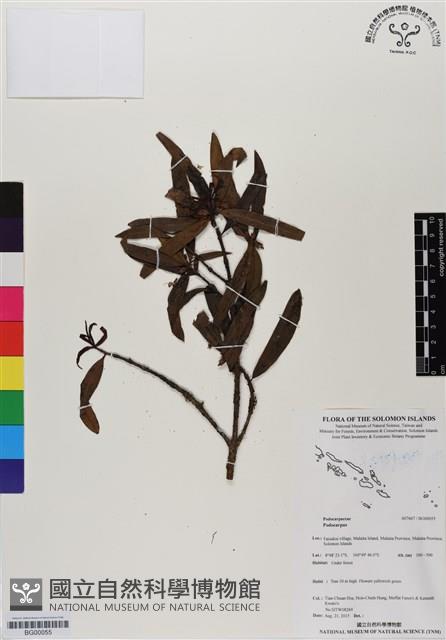 登錄號:BG00055藏品圖，第1張