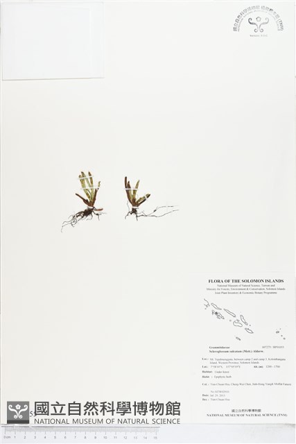 登錄號:BP01055藏品圖，第1張