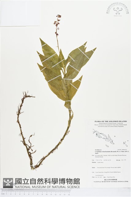 登錄號:BS04055藏品圖，第1張