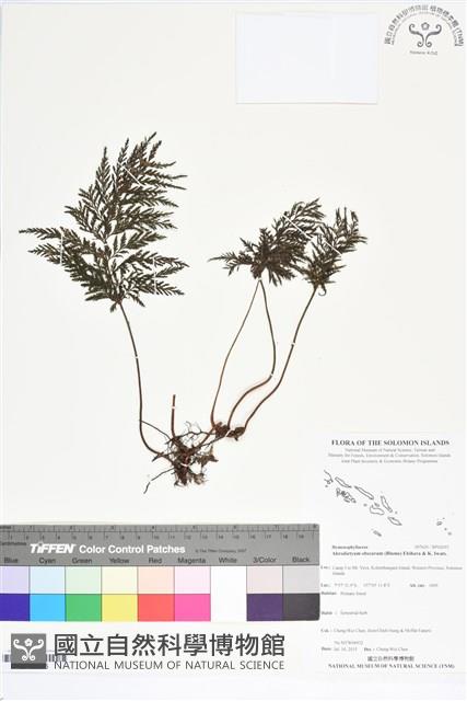 登錄號:BP02655藏品圖，第1張