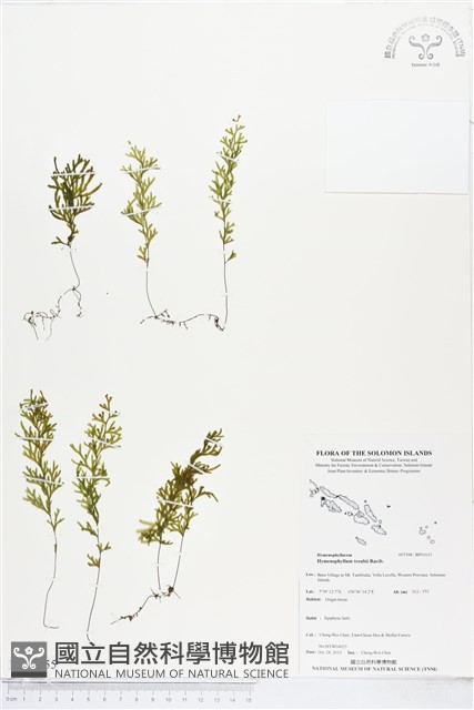登錄號:BP01655藏品圖，第1張