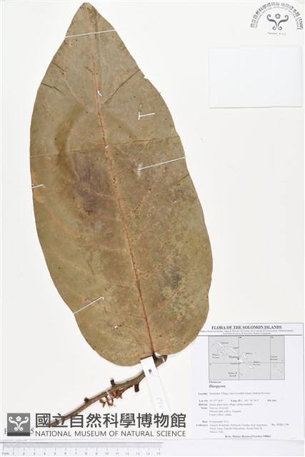 登錄號:BS01655藏品圖，第1張