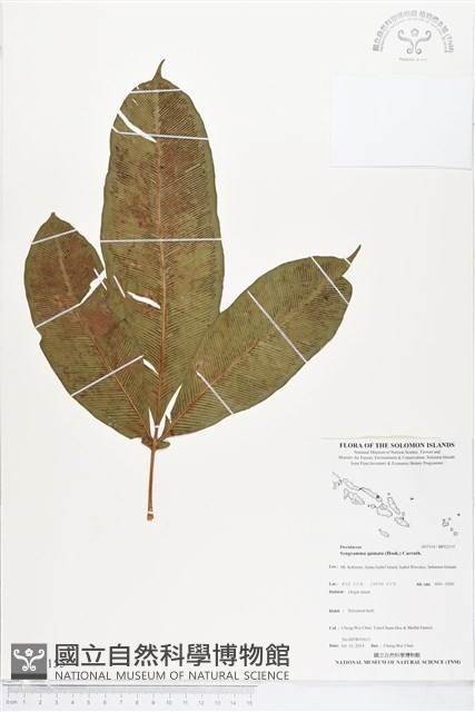 登錄號:BP02155藏品圖，第1張