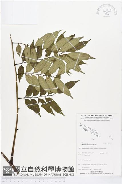 登錄號:BP01155藏品圖，第1張