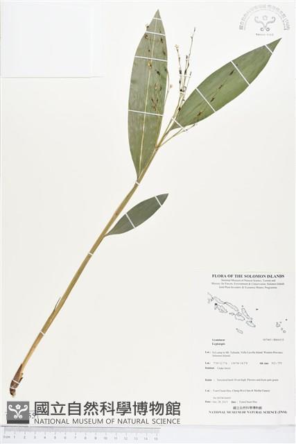 登錄號:BS04155藏品圖，第1張