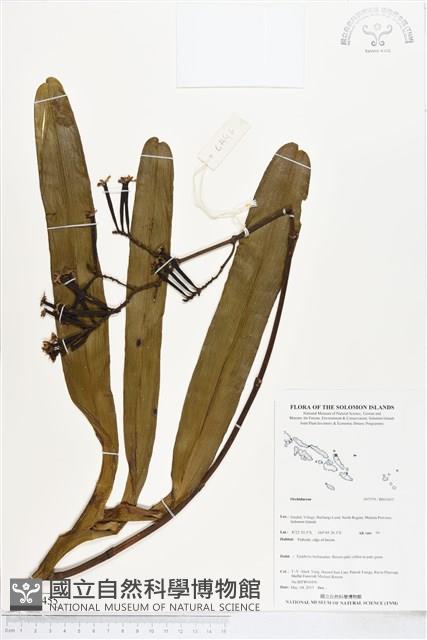 登錄號:BS05455藏品圖，第1張