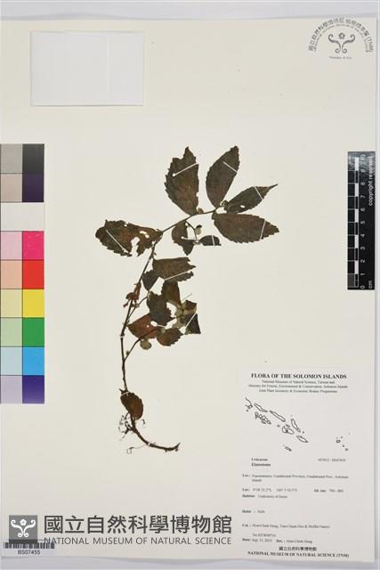 登錄號:BS07455藏品圖，第1張