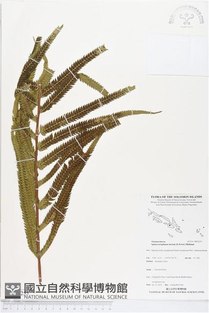 登錄號:BP02255藏品圖，第1張