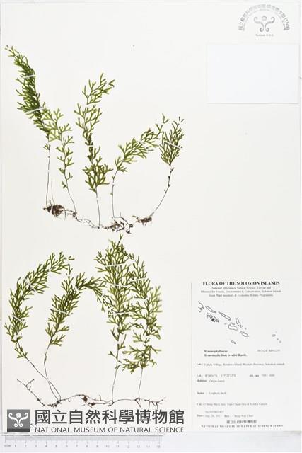 登錄號:BP01255藏品圖，第1張