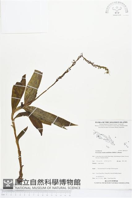 登錄號:BS04255藏品圖，第1張