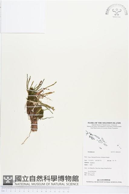 登錄號:BS03255藏品圖，第1張