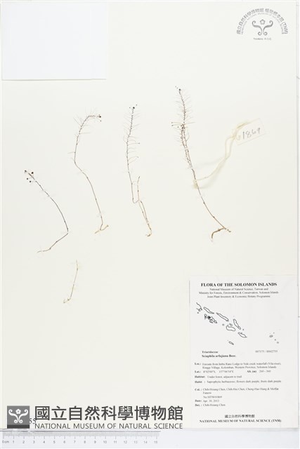 登錄號:BS02755藏品圖，第1張