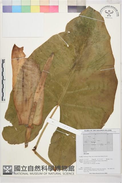 登錄號:BS01755藏品圖，第1張