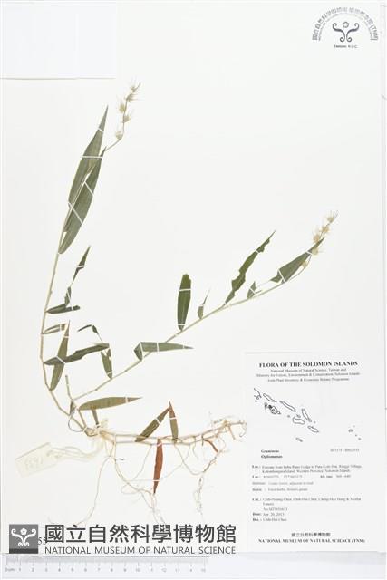 登錄號:BS02555藏品圖，第1張