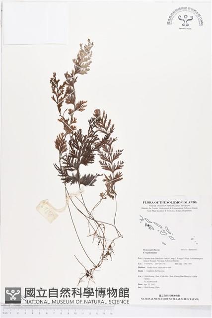 Accession Number:BP00555 Collection Image