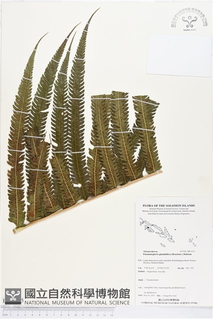 登錄號:BP01555藏品圖，第1張