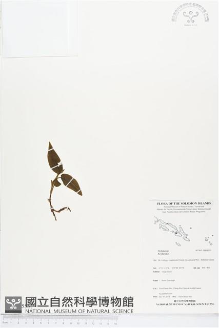 登錄號:BS04555藏品圖，第1張