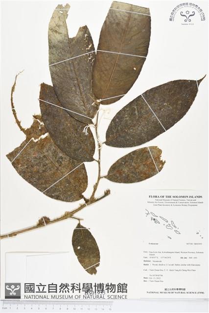 登錄號:BS01955藏品圖，第1張