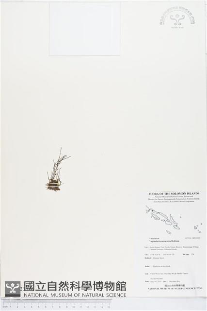 登錄號:BP02355藏品圖，第1張