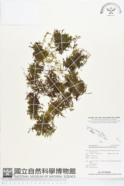 登錄號:BP00355藏品圖，第1張