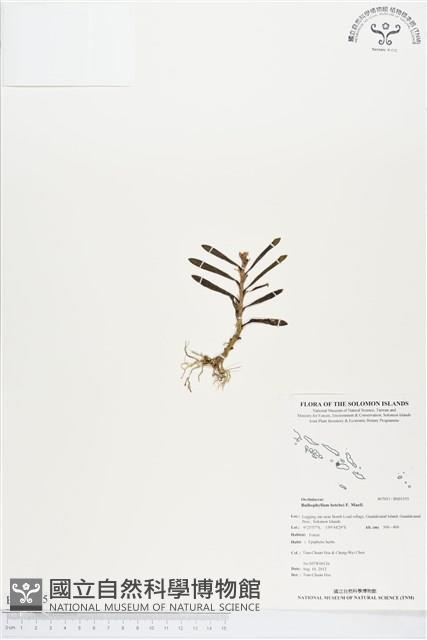 登錄號:BS01355藏品圖，第1張