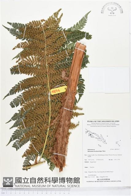 登錄號:BP01815藏品圖，第1張