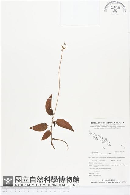 登錄號:BS01815藏品圖，第1張