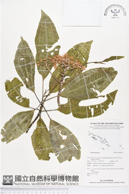 登錄號:BS02015藏品圖，第1張