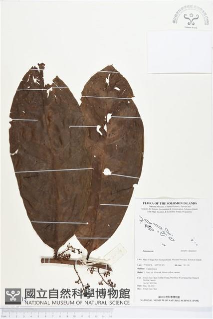 登錄號:BS03015藏品圖，第1張