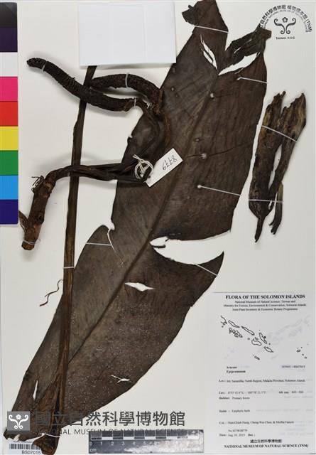 登錄號:BS07015藏品圖，第1張