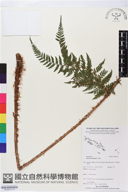 登錄號:BP02615藏品圖，第1張