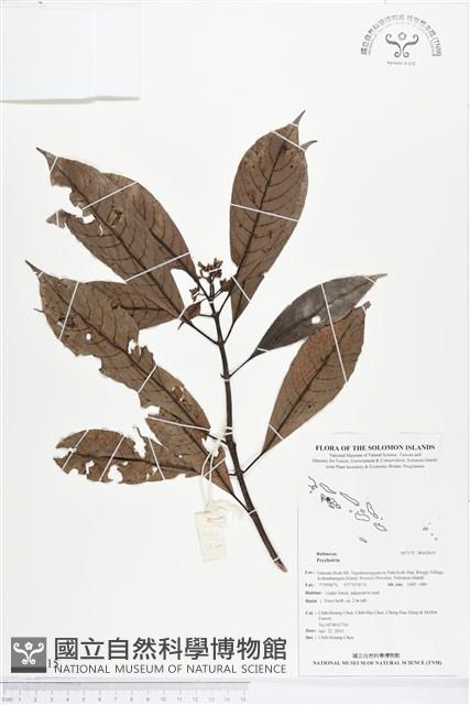 登錄號:BS02615藏品圖，第1張