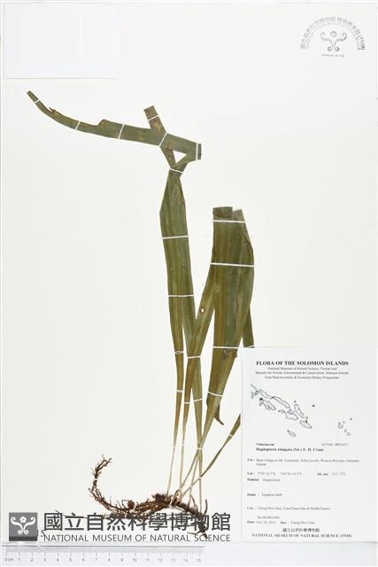 登錄號:BP01615藏品圖，第1張