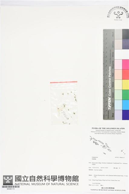 登錄號:BS06115藏品圖，第1張