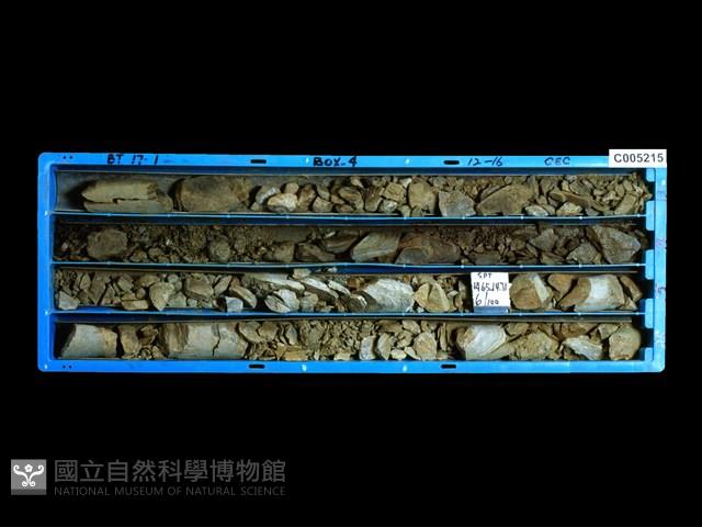 登錄號:C005215藏品圖，第1張